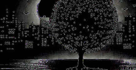 Chiếc bẫy mang tên 'An ninh cấp độ 1': Khi tin tức về World Cup trở thành vũ khí thông tin